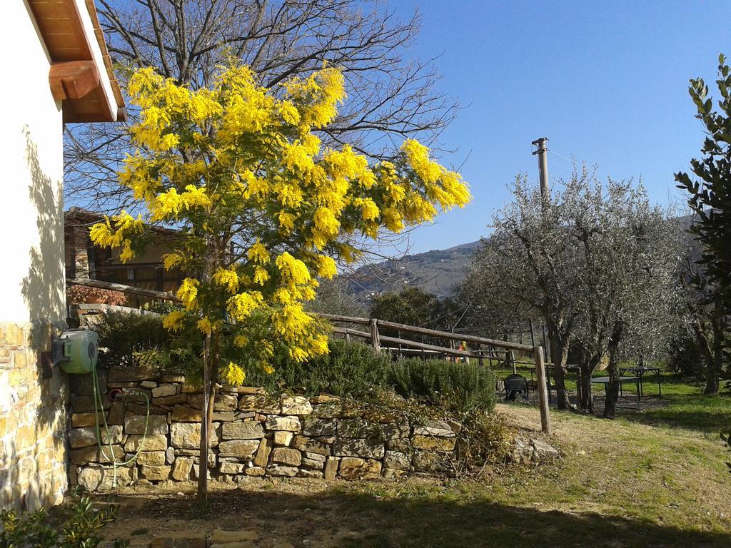 Agriturismo Biologico Poggiopiano Vila Fiesole Exterior foto