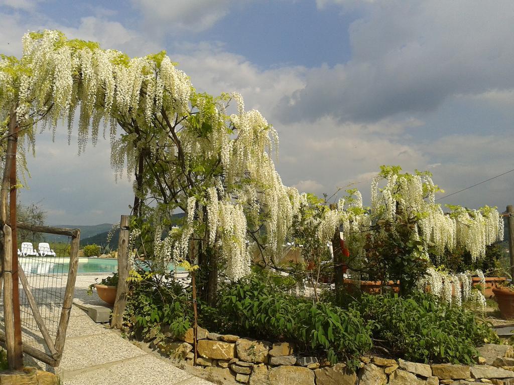 Agriturismo Biologico Poggiopiano Vila Fiesole Exterior foto